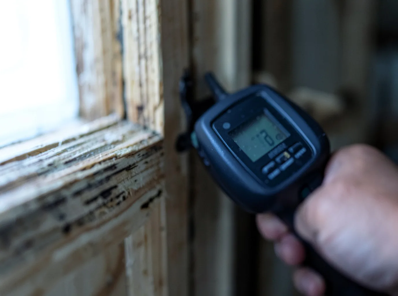 Moisture Inspection And Documentation in Jourdanton, TX